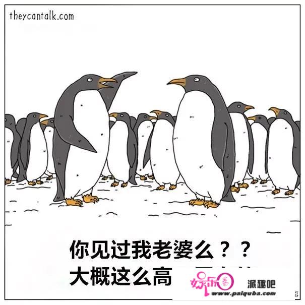 2020年都有哪些流行的梗，说出来大家一起乐乐？