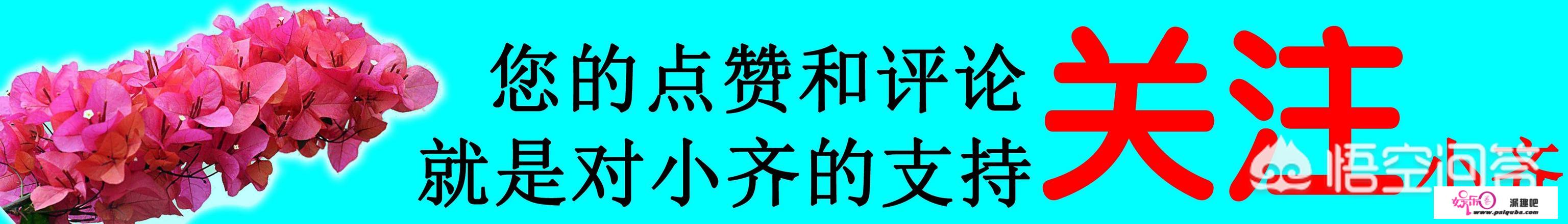 鹅掌柴叶子打卷，发皱，是什么原因呢？