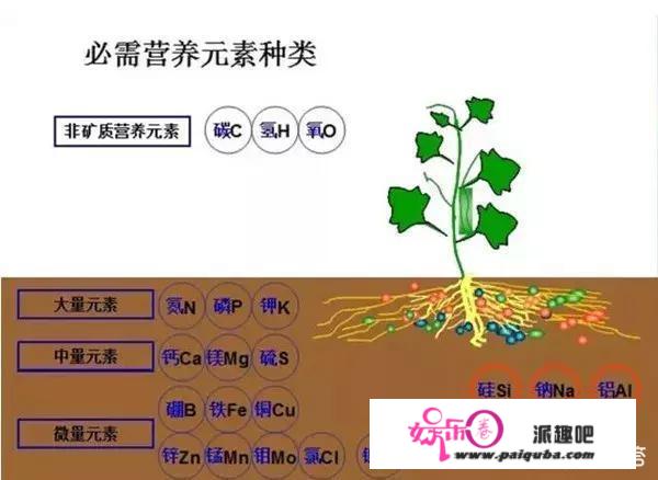 炼金术师布兰德收集6吨尿液，打算提取黄金，最后发现了什么？