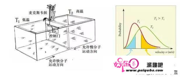 物理学的四大神兽，除了薛定谔的猫还有哪些？