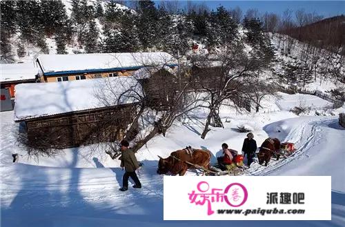 中国“雪村”在哪儿，景色如何？