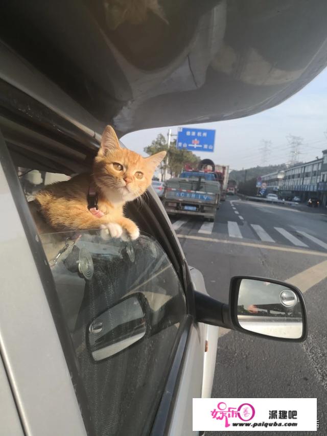 拖个地，做个饭，做个家务能有多累？你家有同款男人吗？