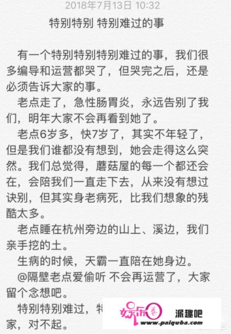 《向往的生活3》什么时候播出？