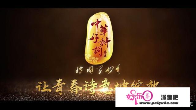 正在热播的河北台的《中华好诗词》和中央台的《诗词大会》哪个水平高？