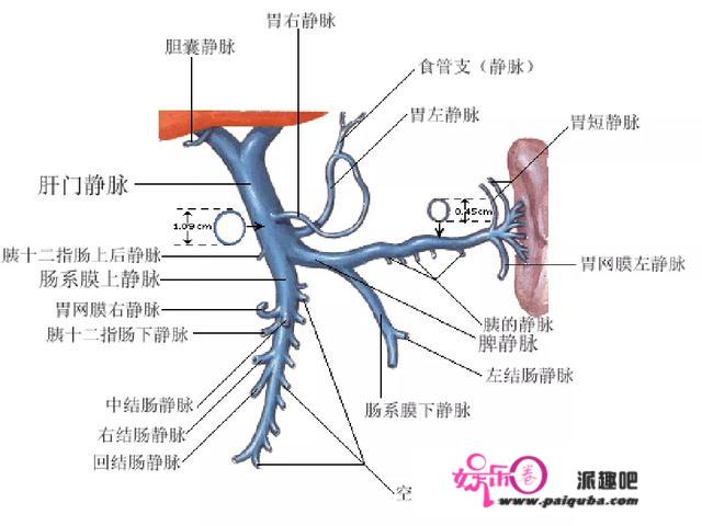 多例危重患者突发呕血！秋冬季为何肝硬化病人出血高发？