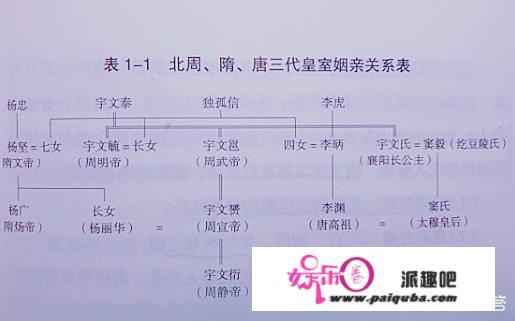 历史上隋朝皇室后裔的命运如何？有哪些史料可以考证？