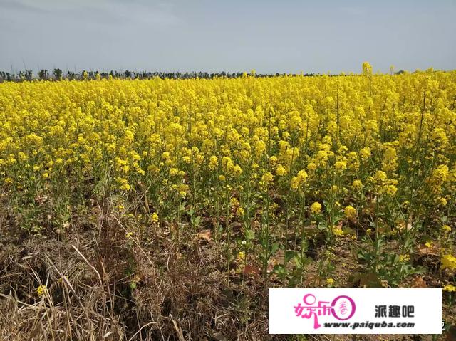 《浮生六记》中的芸娘为什么对憨园如此感兴趣，她有蕾丝倾向吗？