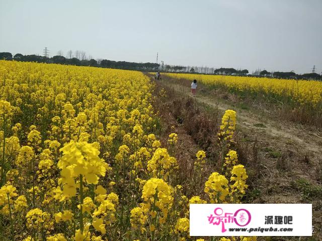 《浮生六记》中的芸娘为什么对憨园如此感兴趣，她有蕾丝倾向吗？