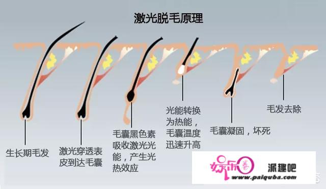 各路男星配上“发际线小吴”的同款眉毛，还能依旧帅气吗？