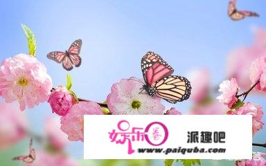 夫妻收养弃婴发现其患病，8年不离不弃用尽积蓄为其治病，大家怎么看？