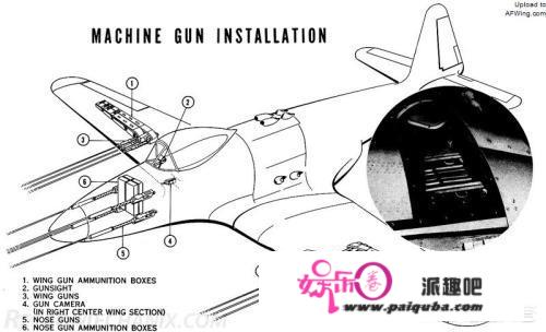 二战飞机上机炮装在哪里？