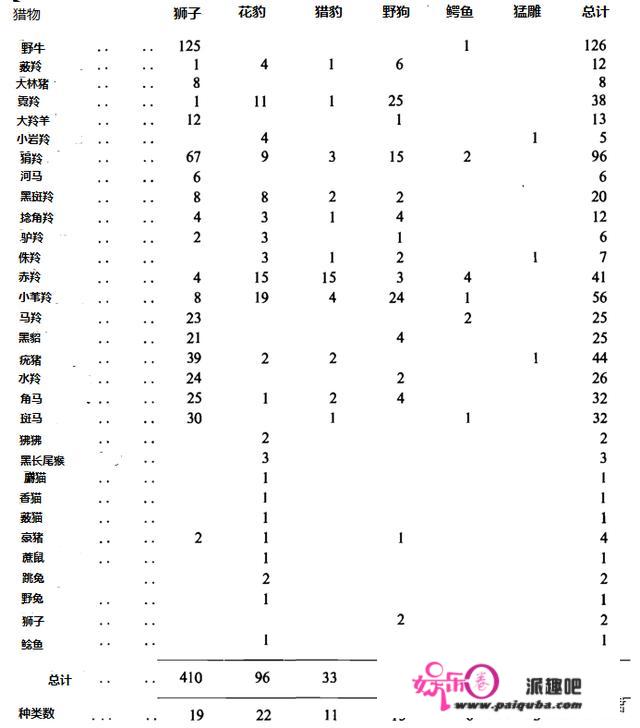 河马强大的5个奥秘，陆地第二大动物，为何有人说成年河马没有天敌？