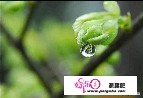 明天雨水节气，农谚：早晨落雨晚担柴，下午落雨打草鞋，啥意思？