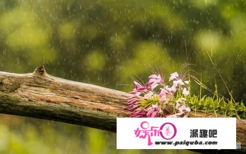 明天雨水节气，农谚：早晨落雨晚担柴，下午落雨打草鞋，啥意思？