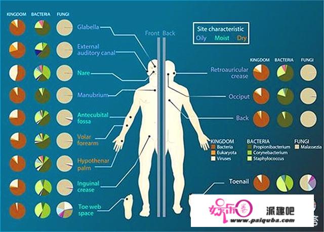 都说人体内有微生物，你信吗，我肉都发麻了？