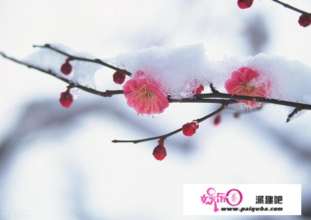 为什么白居易的《夜雪》被誉为千古名作？夜雪究竟有什么特别之处？