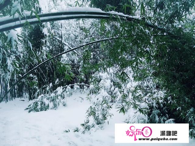 为什么白居易的《夜雪》被誉为千古名作？夜雪究竟有什么特别之处？