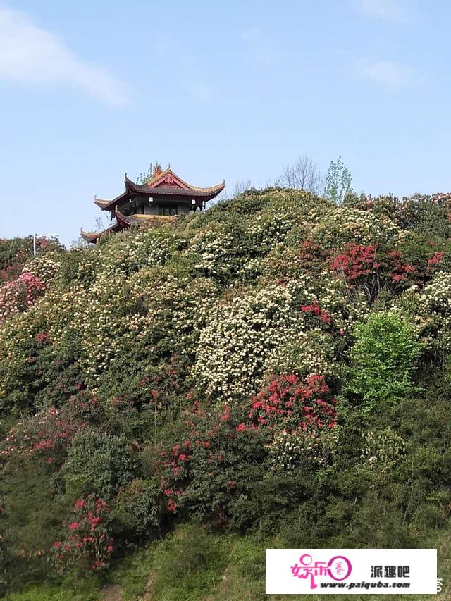 有钱和没钱的人，同时去旅游，在旅游的过程中，他们各自都是什么样的心理？