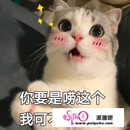 不是绝育了就万事大吉，关于猫咪半夜嚎叫，你需要知道这些