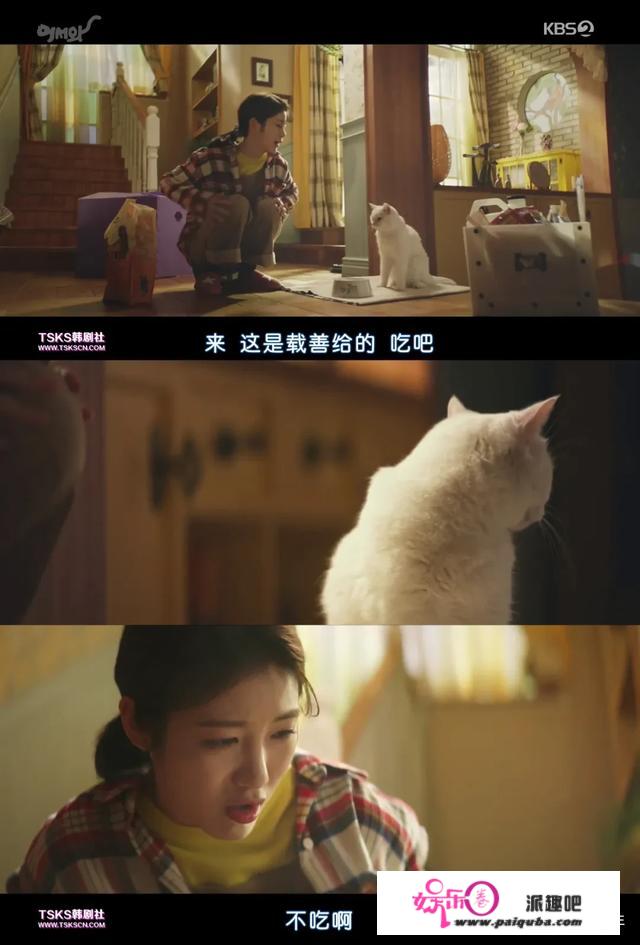 一觉醒来，被窝里的猫变成大帅哥！