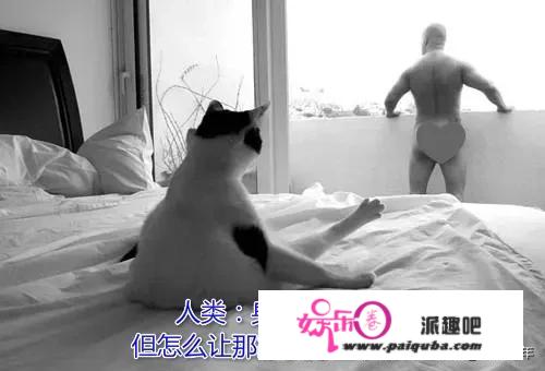 一觉醒来，被窝里的猫变成大帅哥！