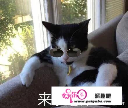 一觉醒来，被窝里的猫变成大帅哥！