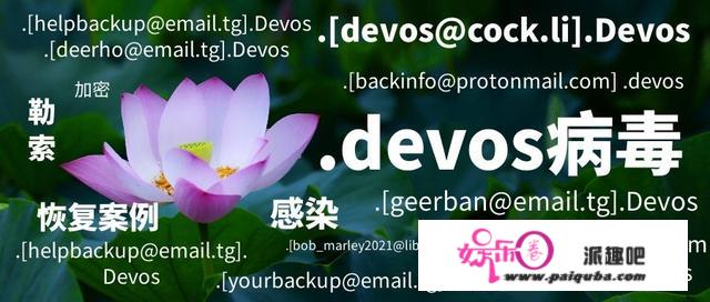 「数据恢复」服务器感染.「helpbackup@email.tg」.Devos勒索病毒