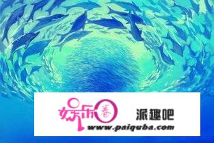 《海底两万里》：听说，这片神秘的海洋里能找到每个人的童年