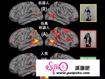 仿生机器人面世，一文看懂机器人进化史