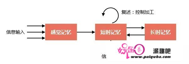 实现高效学习和记忆的6个方法—学会正确地对知识进行编码和提取