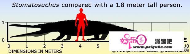 史前巨鳄能够像鲸鱼一样大嘴吞四方