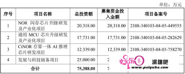 IPO雷达 | 大量核心技术靠武汉新芯授权，“蜉蝣”恒烁股份能撼动存储芯片业的“大树”吗？