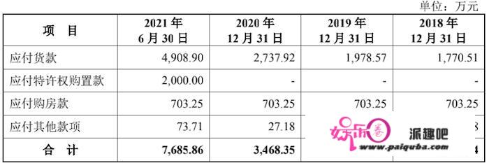 IPO雷达 | 大量核心技术靠武汉新芯授权，“蜉蝣”恒烁股份能撼动存储芯片业的“大树”吗？