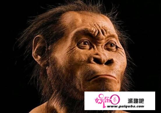 为何类人猿没尾巴？或与2500万年前基因突变有关，人类是变异生物