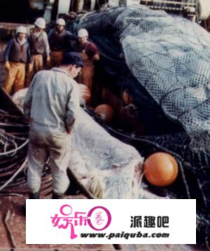 1977年，日本捕鱼船捞起的“海怪”尸体，是全球最后的蛇颈龙吗