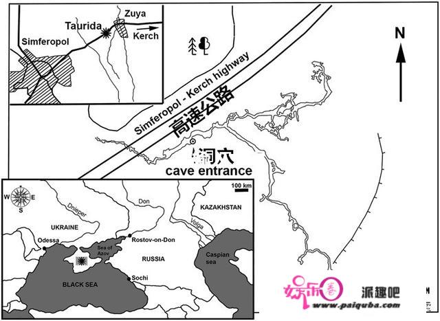 3.5米高！古生物学家发现北半球第一巨鸟