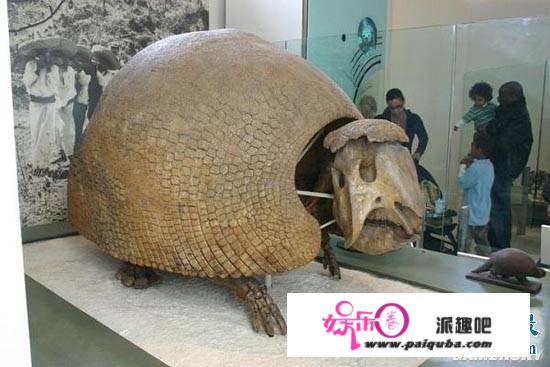 史前一亿年十大已灭绝的恐怖生物，人类根本无法生存