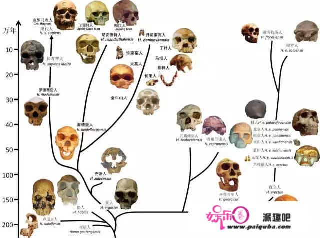 《猩球崛起》：猿类和人工智能，谁更有可能代替人类支配世界？