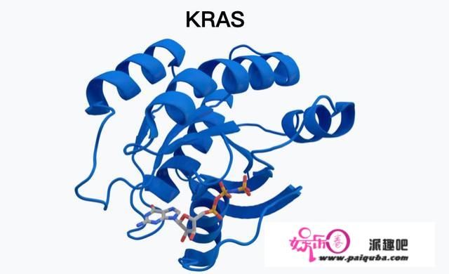 精准医疗！华东师大研究揭示KRAS突变肺腺癌的代谢特征