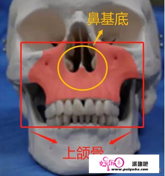 董洁越老越闭不上嘴，宋祖儿可能比她更早出现“猴型上颌”