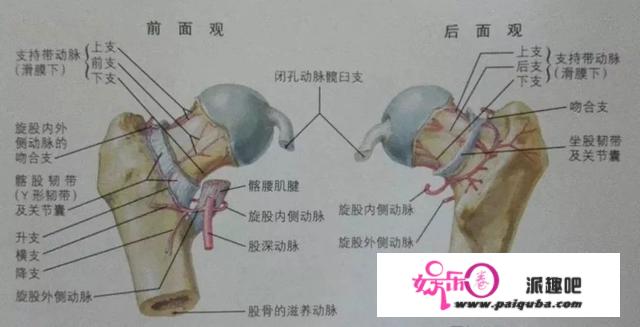 刘欢“水逆记”：从乐坛教父到惨遭封杀隐退歌坛，他经历了什么？