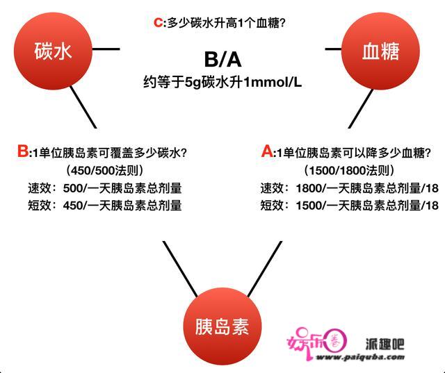 控糖如驯龙——清华学霸，1型糖尿病患者李鑫的“控糖基本法”