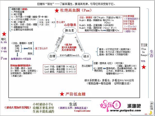 控糖如驯龙——清华学霸，1型糖尿病患者李鑫的“控糖基本法”