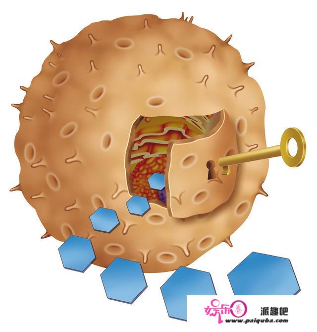 清华毕业，1型糖尿病患者直播获大批糖友追捧，他总结了八个字