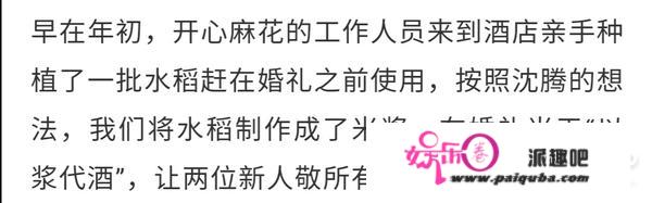 沈腾老婆评论区不堪入目，被骂拆伙沈马内涵马丽，cp粉清醒点吧