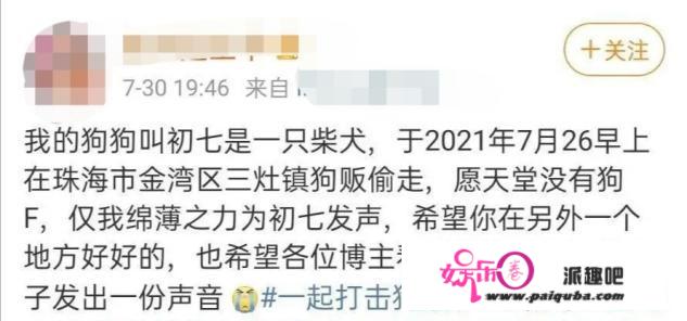 42岁曹格被狗咬伤，地上大片血迹惹人忧，网友却在嘲讽另一女星？