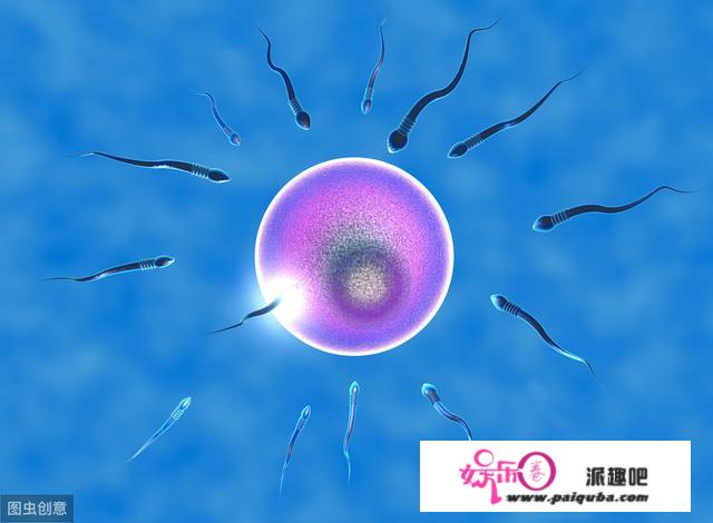 想生女孩？Y染色体精子游得快、有没有科学根据