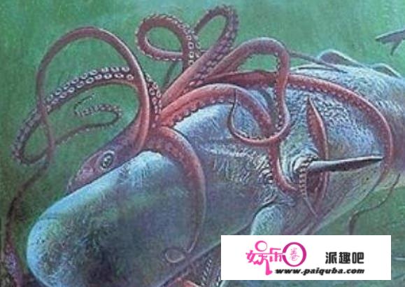 海洋生物顶级杀手排行榜，大白鲨排第二，蓝鲸不上榜。谁是第一？