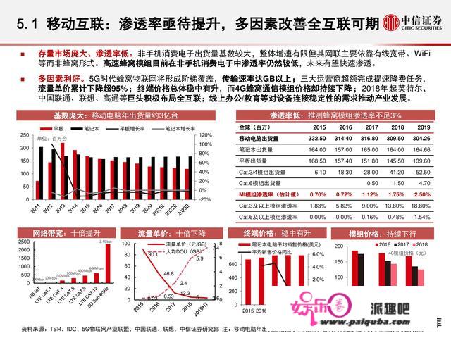 物联网财产研究陈述：万物智联，数通将来