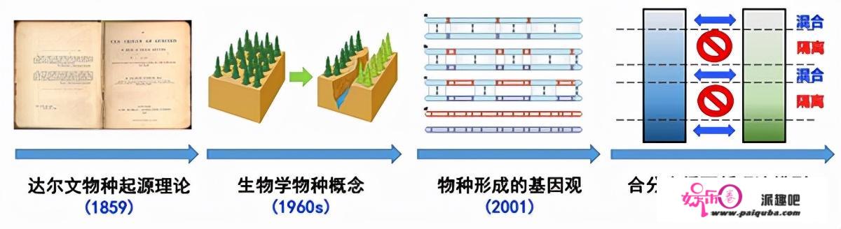 第一小我是怎么来的？最早的人类呈现在什么时候？